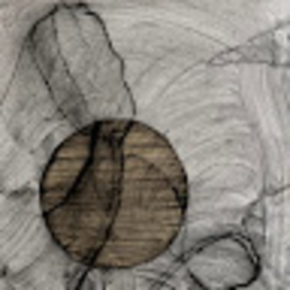 Meet your Posher, Bailey